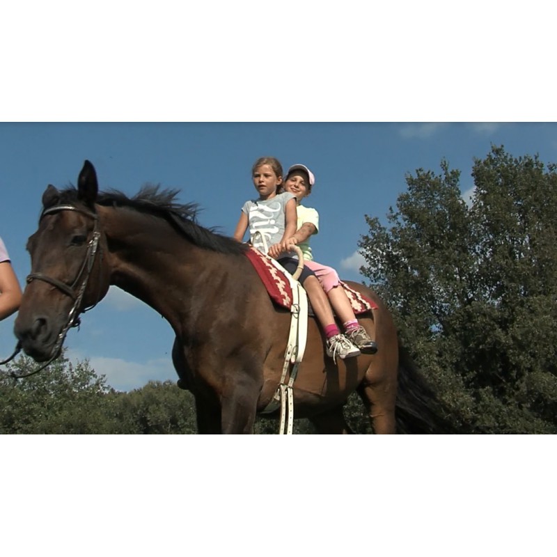 ČR - zvířata - děti - jízda na koni