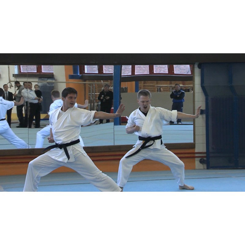 CR - sport - gym - rings - judo - gymnastics