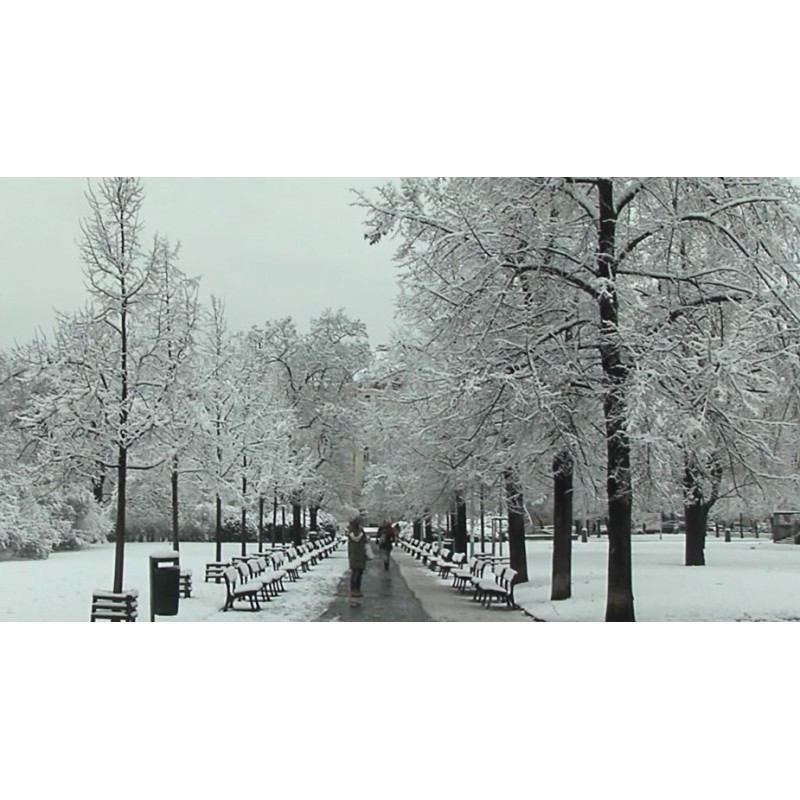 CR - Prague - nature - snow - winter