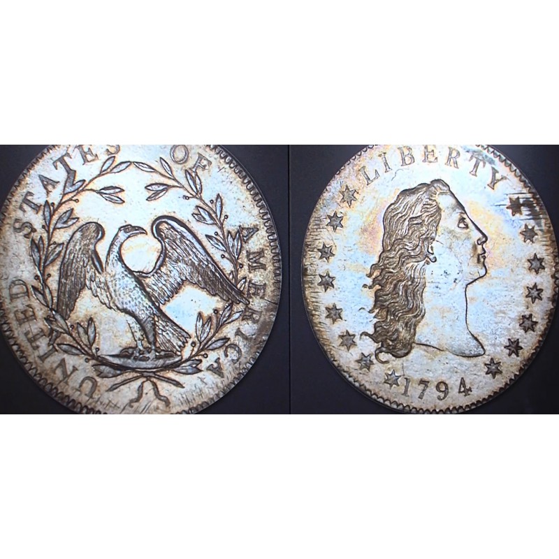  CR - Prague - numismatics - the most expensive world coin - Flowing Hair Liberty Dollar