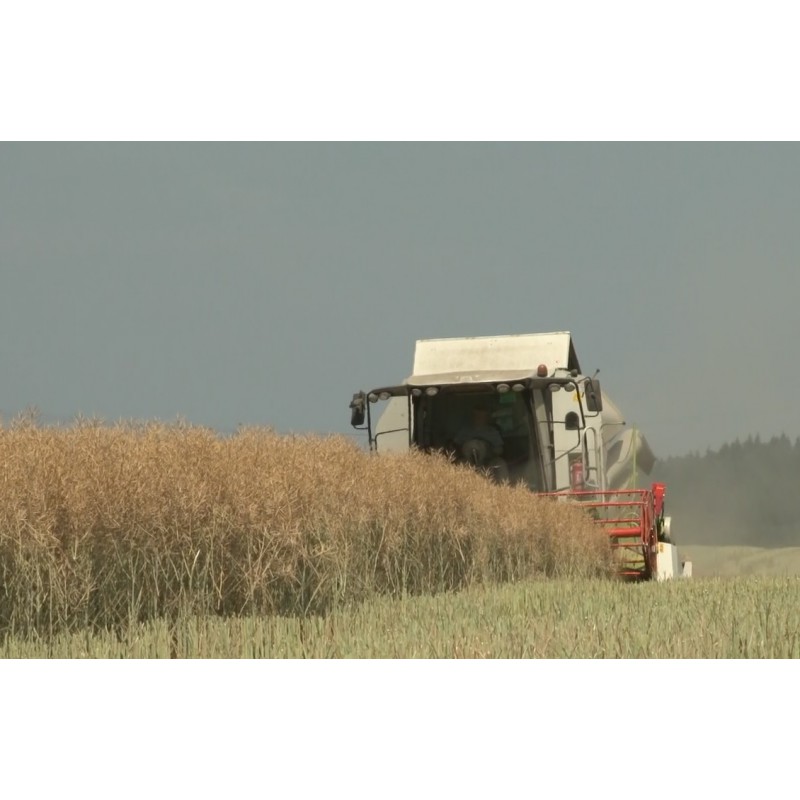 ČR - zemědělství - kombajn - sklizeň - doprava