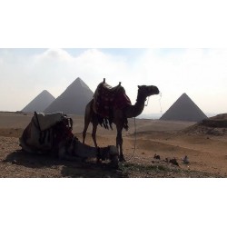 Egypt - Giza - Pyramid - Sphinx - History