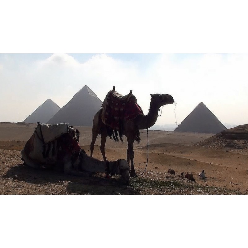 Egypt - Gíza - pyramidy - sfinga - historie
