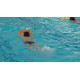 CR - sport - Kladno - children - swimming - swimming pool
