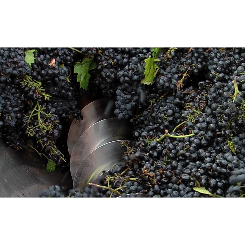 CR - trade - Moravia - wine - grapevine - wine processing - 2 - wine-making