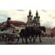 CR - Prague - city - Old time square - carriage - horses - Karlín