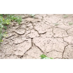 ČR - zemědělství - příroda - počasí - sucho - pole - zemina - voda