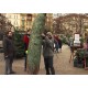 ČR - obchod - Vánoce - strom - prodej - trhy - jmelí