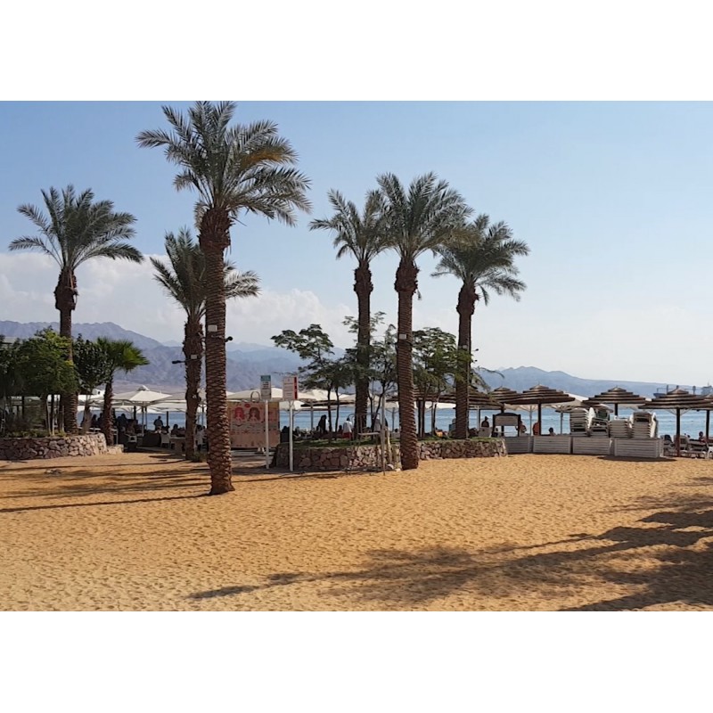 Israel - Eilat - travelling - tourism - sea - Red sea - promenade - palm