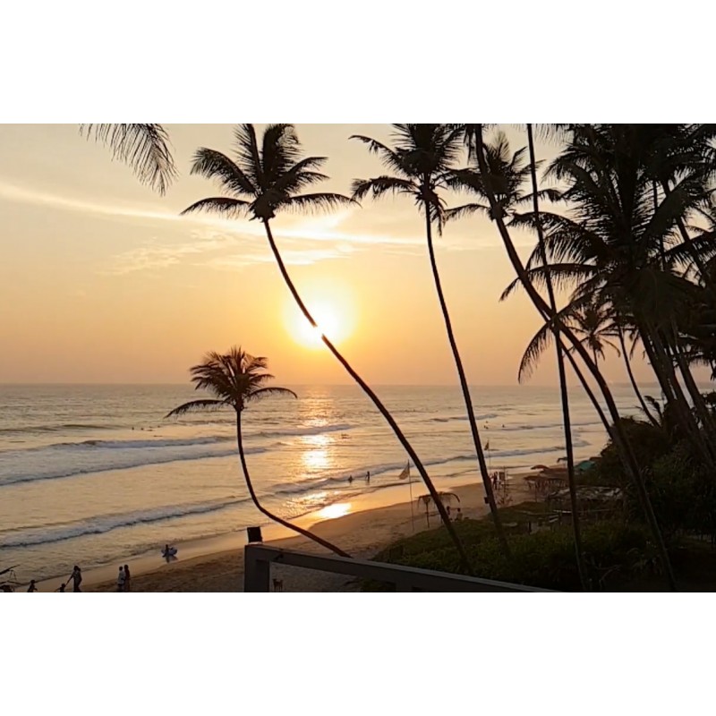 Srí Lanka - ČASOSBĚR - západ - slunce - Indický oceán - palma - pláž - 5x zrychleno