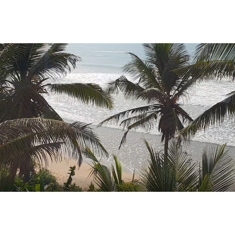 Srí Lanka - příroda - moře - oceán - Indický - pláž - koupání - léto - dovolená - surf - 2K