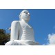 Srí Lanka - města - Kandy - chrám - Buddhův zub - Buddha - tuk tuk - jezero