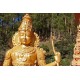  Srí Lanka - Nuwara Eliya - cestování - turistika - jezero - loď - labuť - čepice - 2K
