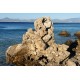 Řecko - cestování - moře - cikáda - pláž - kameny