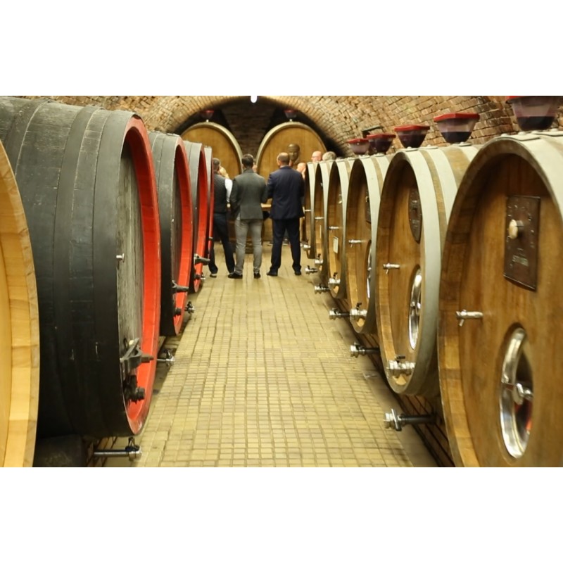 CZ - trade - winery - cellar - underground - barrique - barrel - wine - bottle - tasting