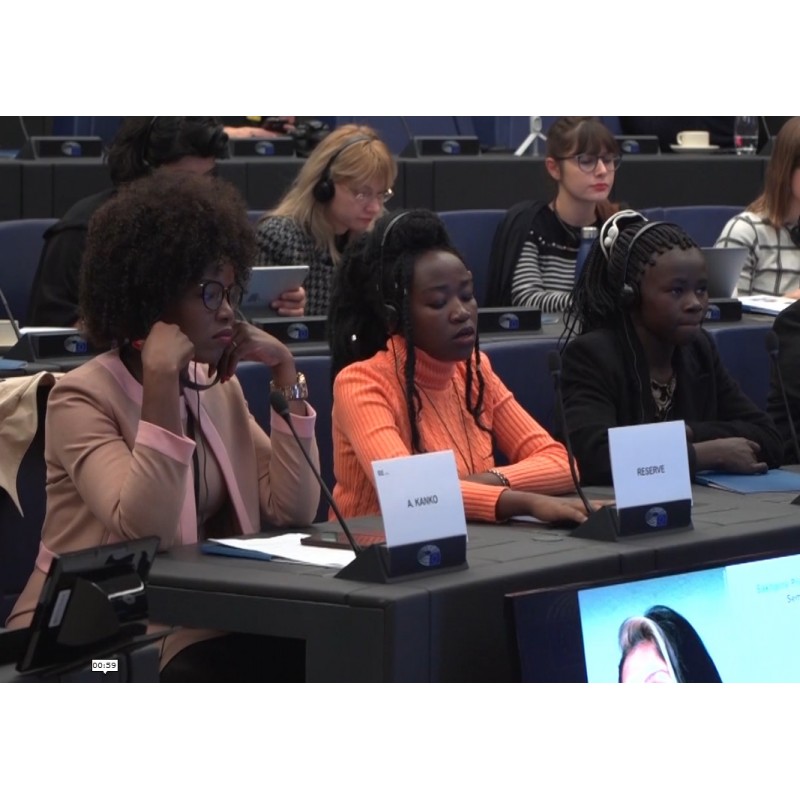 Francie - Belgie - Strasbourg - Evropský parlament - lidé - Assita Kanko - tisková konference