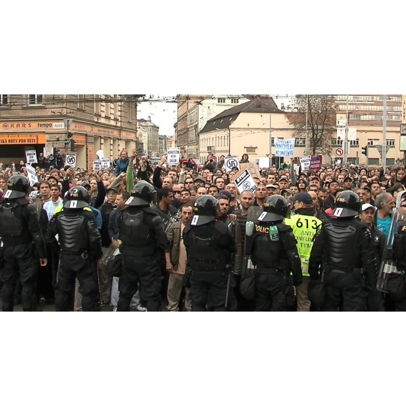 ČR - policie - těžkooděnci - zásah - zatýkání - demonstrace