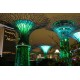 Asie - Singapur - města - svět - Gardens by the Bay - hudba - noc - show - světla