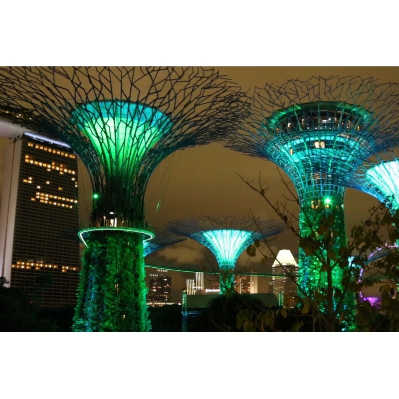 Asie - Singapur - města - svět - Gardens by the Bay - hudba - noc - show - světla