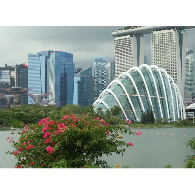 Asie - Singapur - města - svět - mrakodrap - ruské kolo - Gardens by the Bay