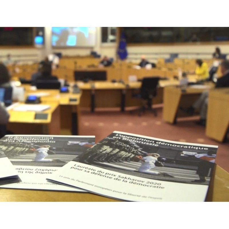 Brussels - European Parliament - Belarus - opposition - Sacharovov Award