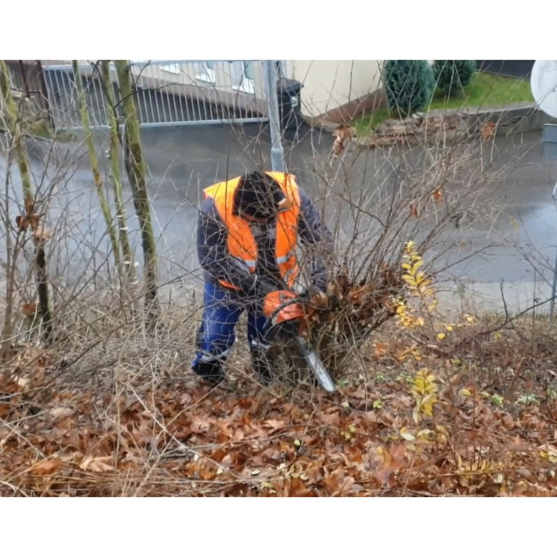 CZ - people - community work - unemployed - cleaning - sweeping - raking - cutting - garbage