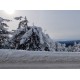 CZ - nature - Klínovec - Krušné hory - cable car - chair lift - skier - ski tow - snow - lockdown - Covid