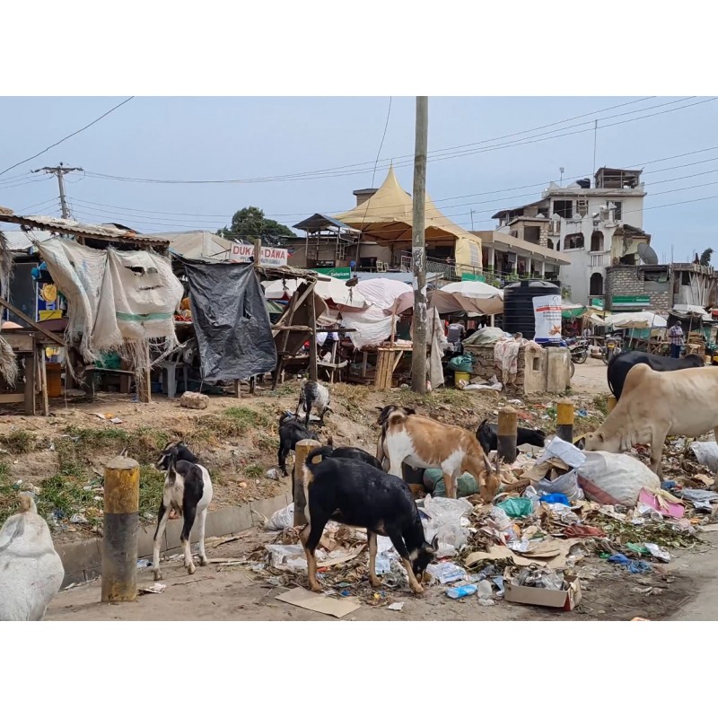 Africa - Kenya - Mombasa - city world - ferry port - mess - poverty - 4K