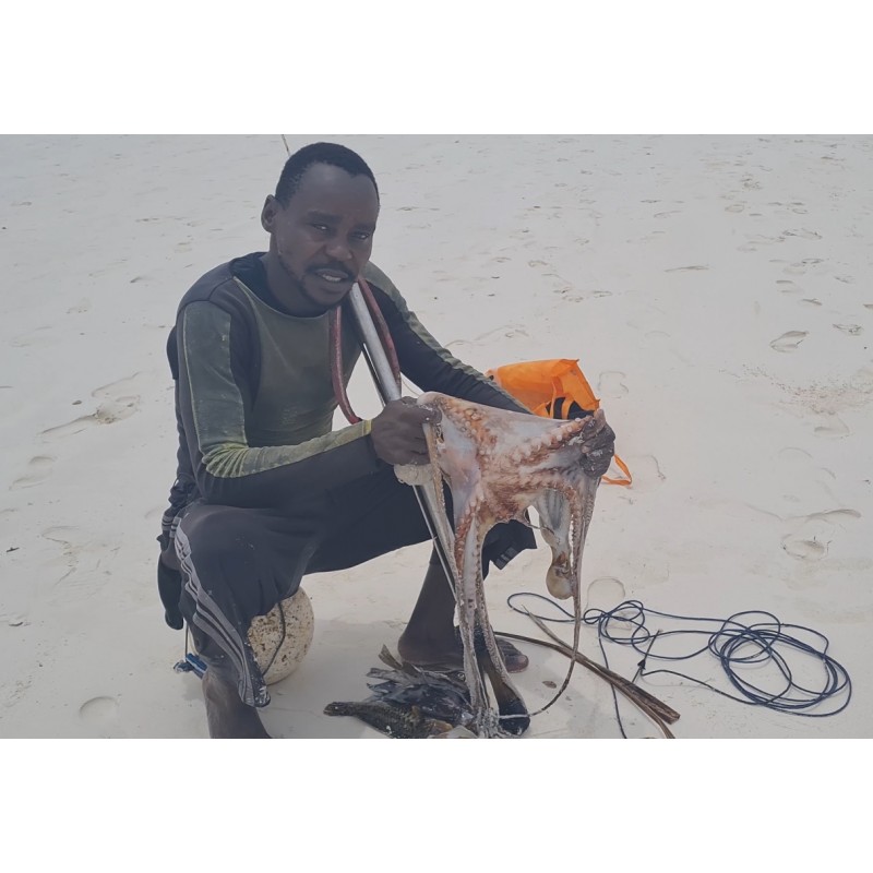 Africa - Kenya - Diani Beach - animals - people - fisherman - octopus - 4K