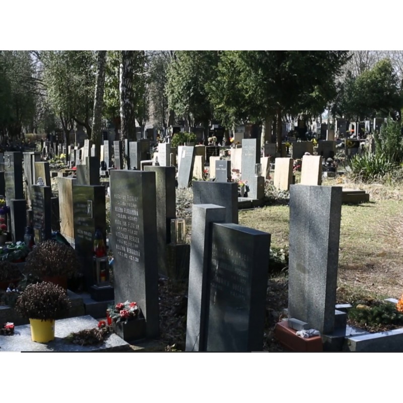 CZ - culture - Prague - Dáblice - cemetery - respect - grave - urn - flowers - gravestone