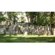 CZ - Prague Žižkov - jewish cemetery - volunteer - headstone - rake - cutting - cleaning - brush cutter