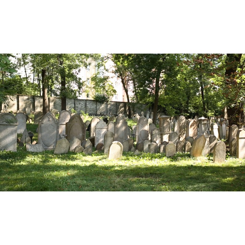 CZ - Prague Žižkov - jewish cemetery - volunteer - headstone - rake - cutting - cleaning - brush cutter