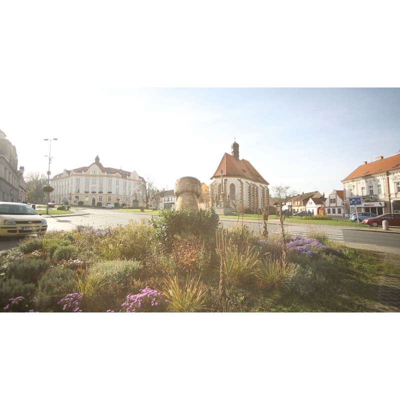 CZ - towns - Starý Plzenec - town hall - municipality - church - playground - sculpture