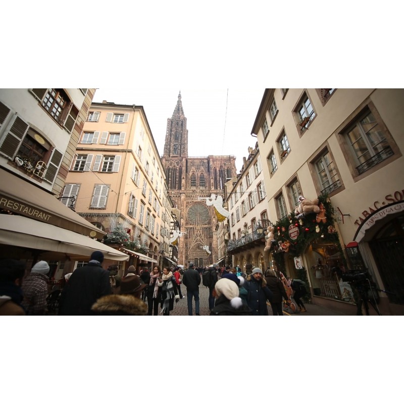 Francie - Štrasburk - Strasbourg - města - svět - Vánoce - výzdoba - vánoční - medvídek - stromek