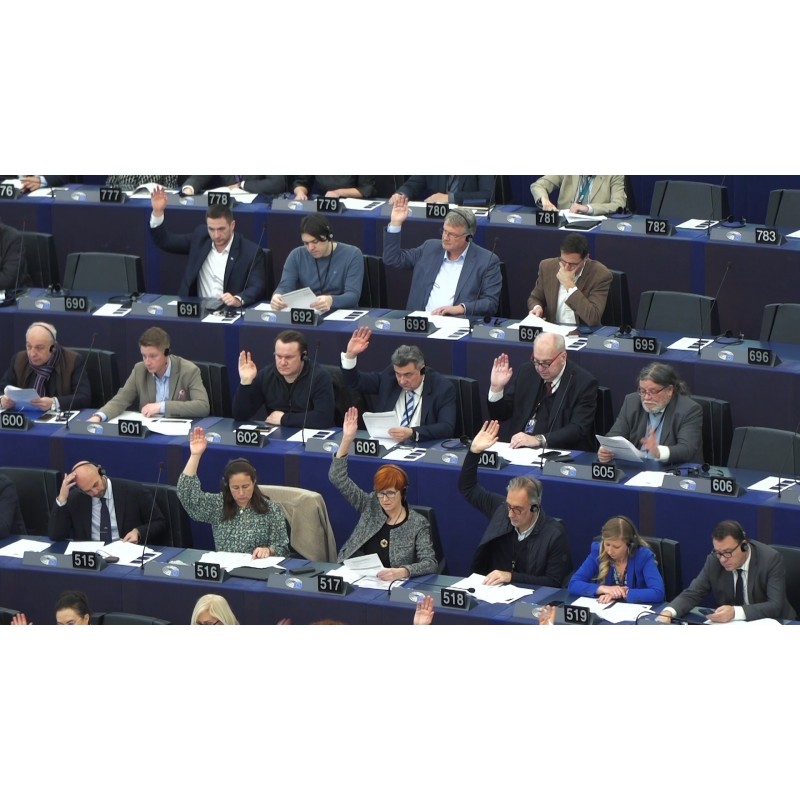 France - Strasbourg - EP - European Parliament - ECR - Poland - Anna Zalewska
