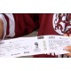 CR - hockey - Prague - championship 2015 - fans - tickets sale