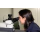 CR - science - woman - microscope