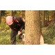 CR - Krkonoše - forestry - lumberjack - chain saw - felling - tree