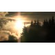 CR - nature - forest - sky - time-lapse - 1 - original length