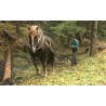 CR - animal - nature - horse - forest - wood - mining