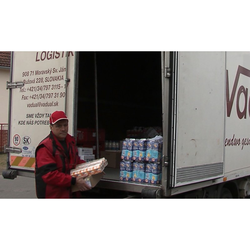 CR - Slovakia - trade - services - distribution - goods