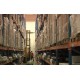 SK - technology - storehouse - forklift - freezing plant - 2 - manipulation