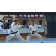 ČR - sport - tělocvična - kruhy - judo - gymnastika