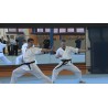 CR - sport - gym - rings - judo - gymnastics