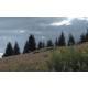 CR - nature - forest - sky - time-lapse - 2 - 1000x faster