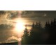 CR - nature - forest - sky - time-lapse - 1 - 1000x faster