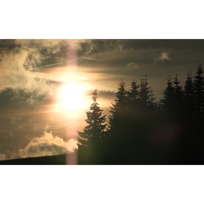 CR - nature - forest - sky - time-lapse - 1 - 1000x faster
