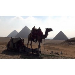 Egypt - Gíza - pyramidy - sfinga - historie