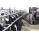 CR - agriculture - animals - feed - cow - hay - straw - bedding 2