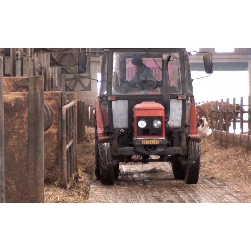 CR - agriculture - animals - feed - cow - hay - straw - bedding